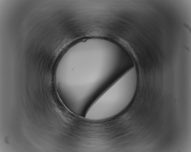 X0000102040204200807181038