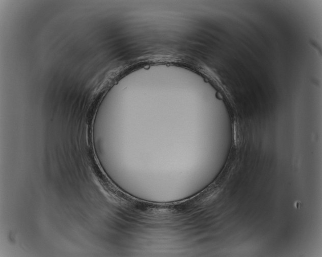 X0000102040205200807181038
