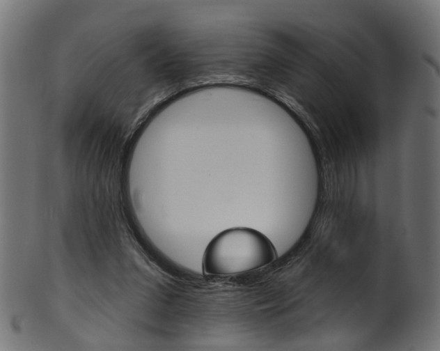 X0000102040207200807181038