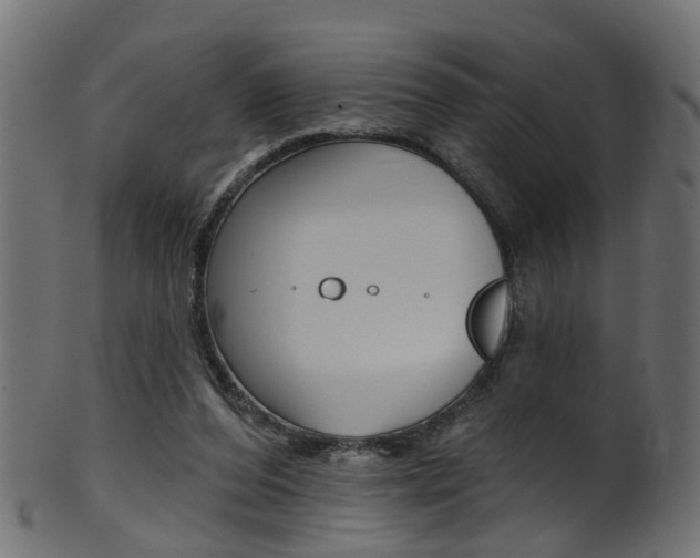 X0000102040208200807181038