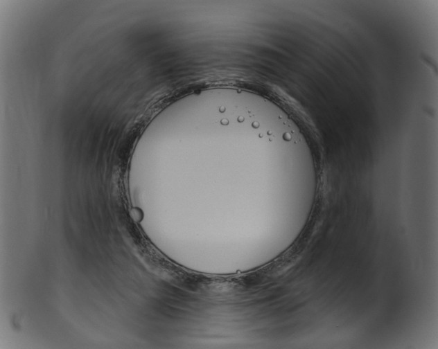 X0000102040209200807181038