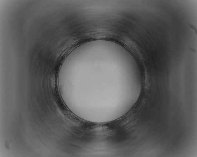 X0000102040210200807181038