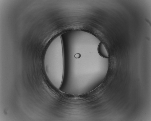X0000102040212200807181038