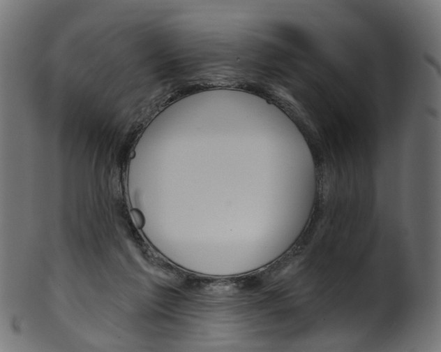 X0000102040213200807181038