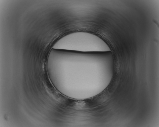 X0000102040214200807181038