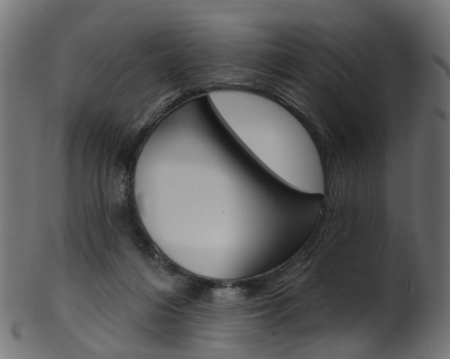 X0000102040216200807181038