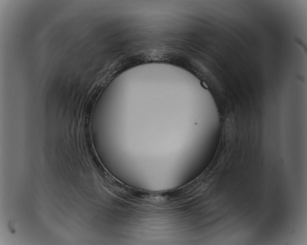 X0000102040217200807181038