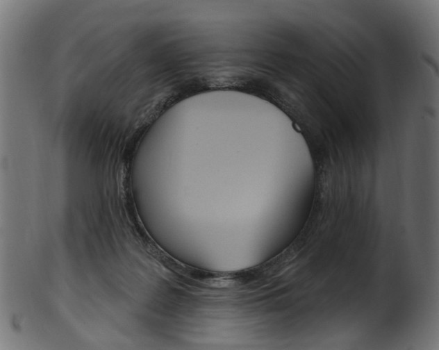 X0000102040219200807181038