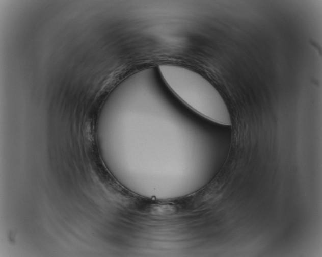 X0000102040220200807181037