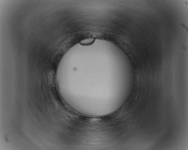 X0000102040222200807181037