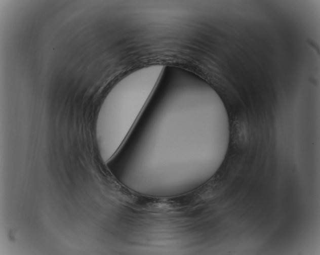 X0000102040224200807181037