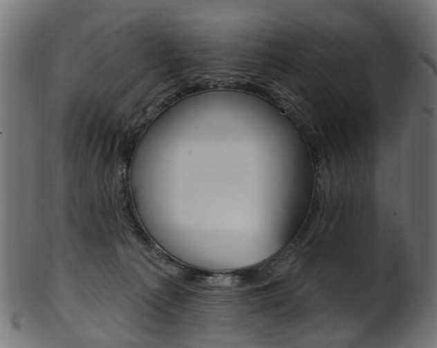 X0000102040225200807181037