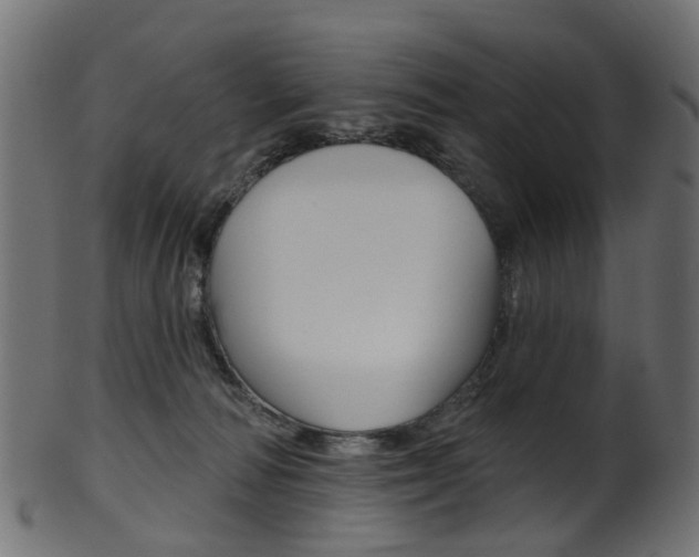 X0000102040226200807181037