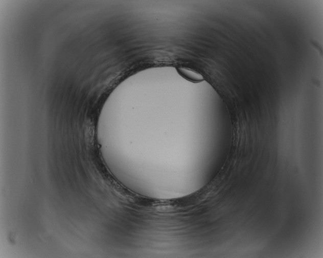 X0000102040228200807181037