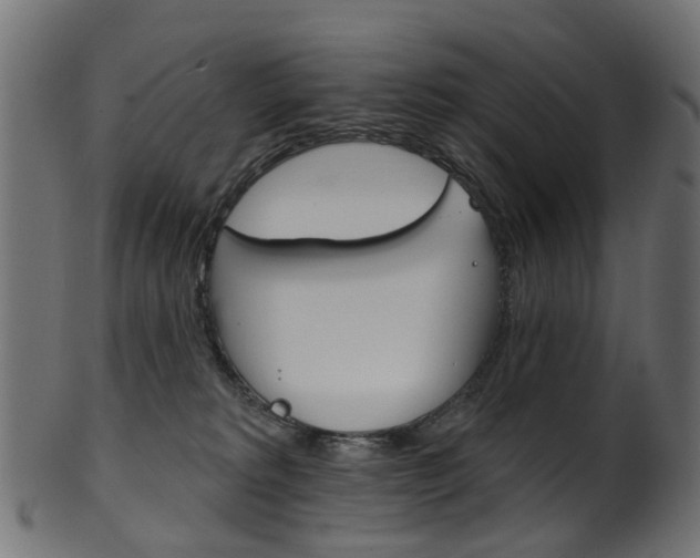X0000102040229200807181037