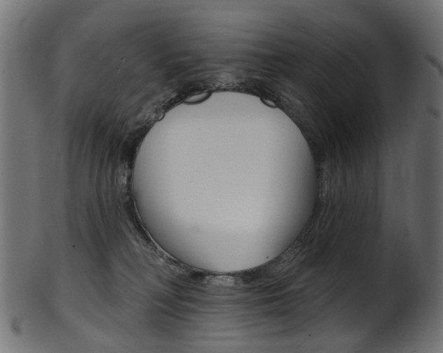 X0000102040230200807181037