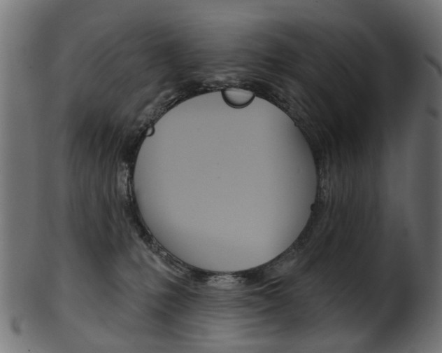 X0000102040231200807181037