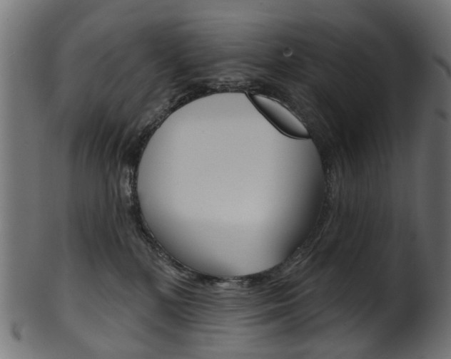 X0000102040232200807181037