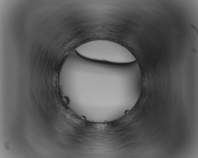 X0000102040233200807181037