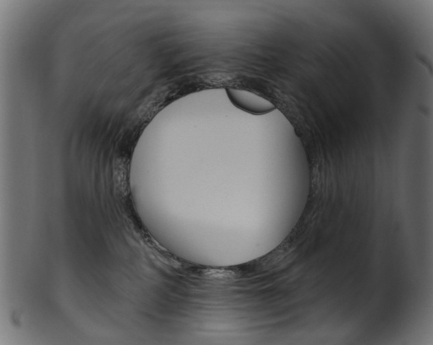 X0000102040234200807181037