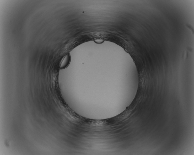X0000102040235200807181037