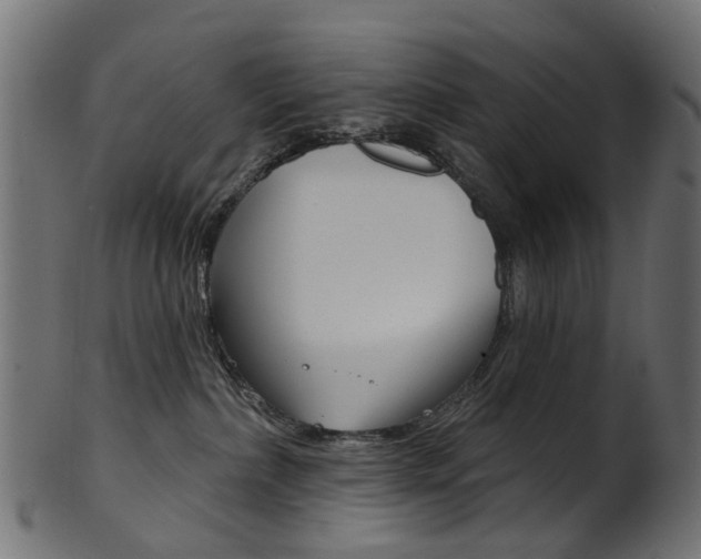 X0000102040236200807181037