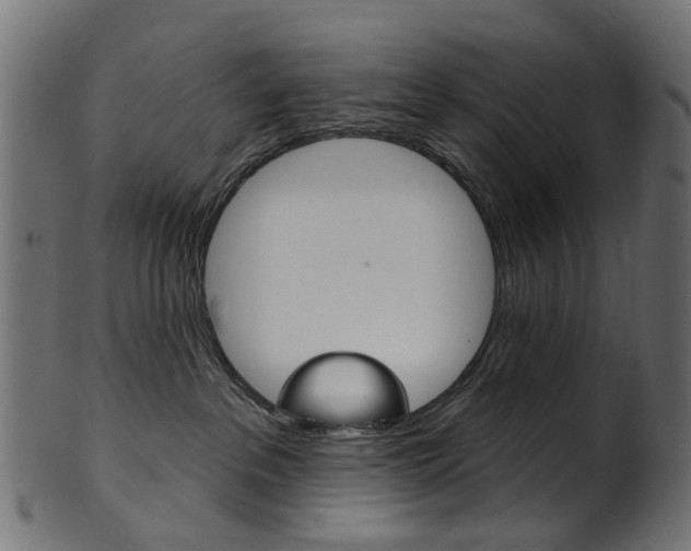 X0000102040237200807181037