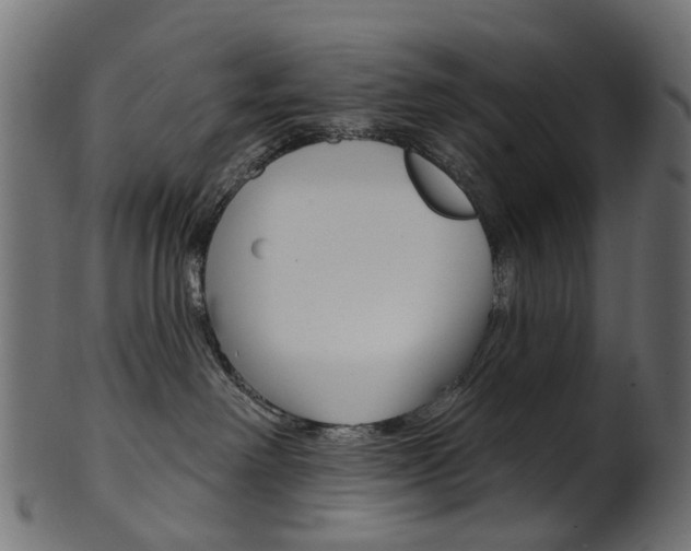 X0000102040238200807181037