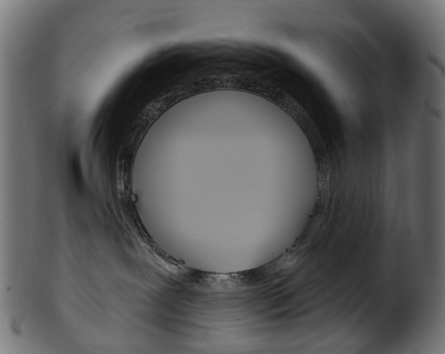 X0000102040239200807181037