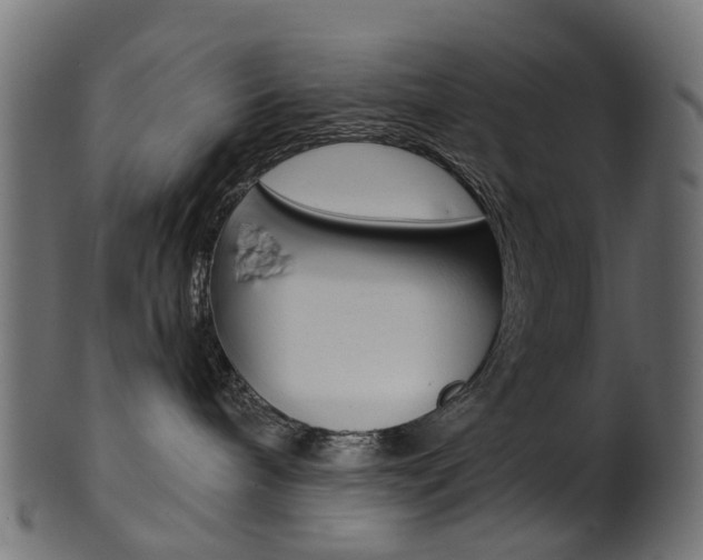 X0000102040240200807181037