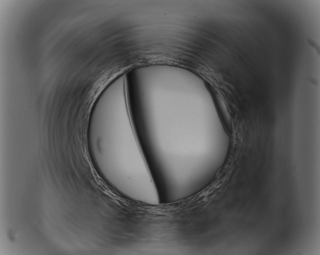 X0000102040241200807181036