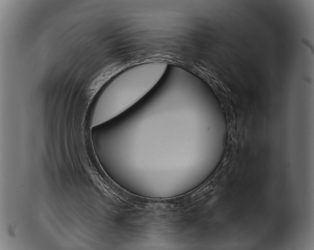 X0000102040242200807181036