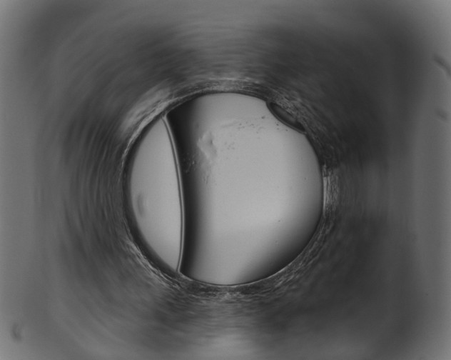 X0000102040243200807181036