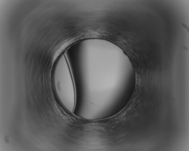 X0000102040244200807181036