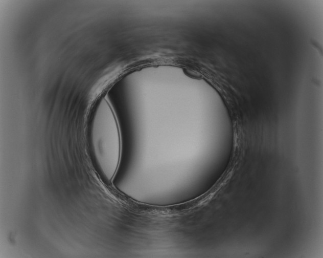 X0000102040245200807181036