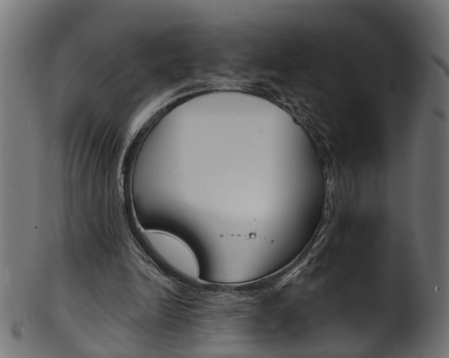 X0000102040246200807181036