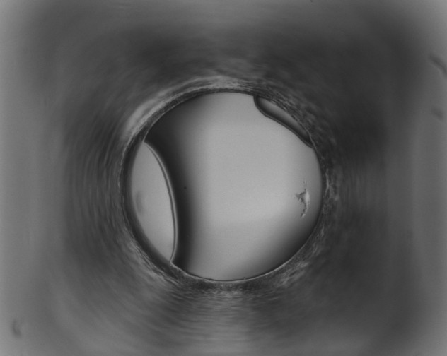 X0000102040247200807181036