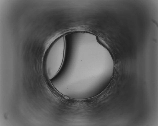 X0000102040248200807181036