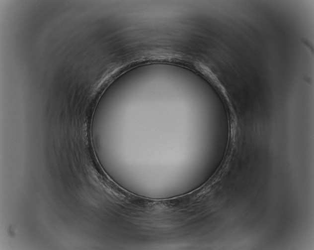 X0000102040249200807181036