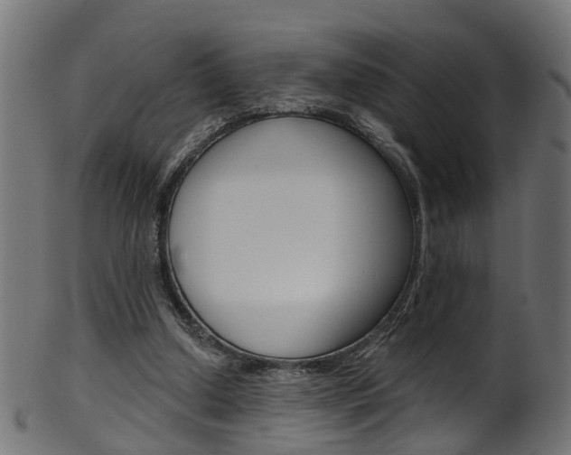 X0000102040250200807181036