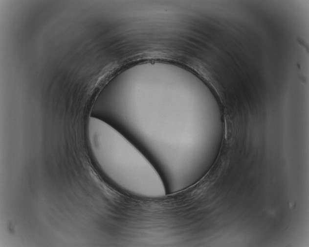 X0000102040253200807181036