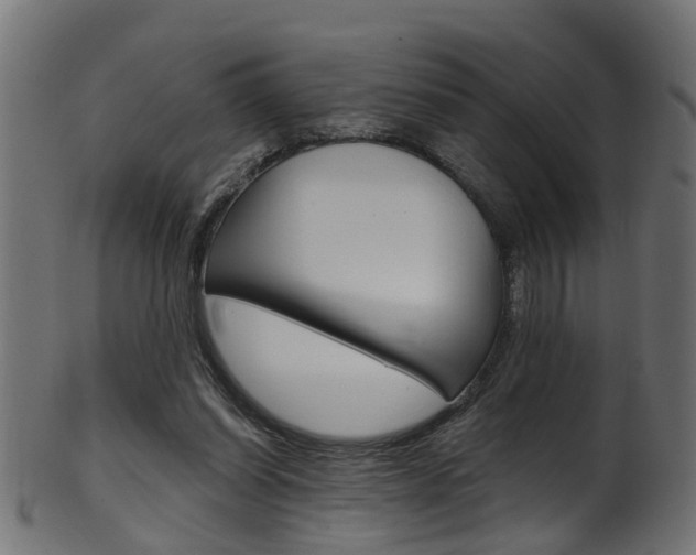 X0000102040254200807181036