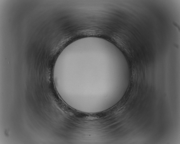 X0000102040255200807181036