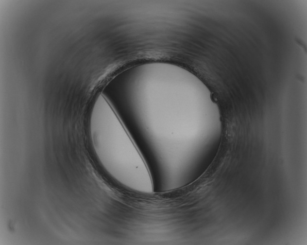 X0000102040256200807181036