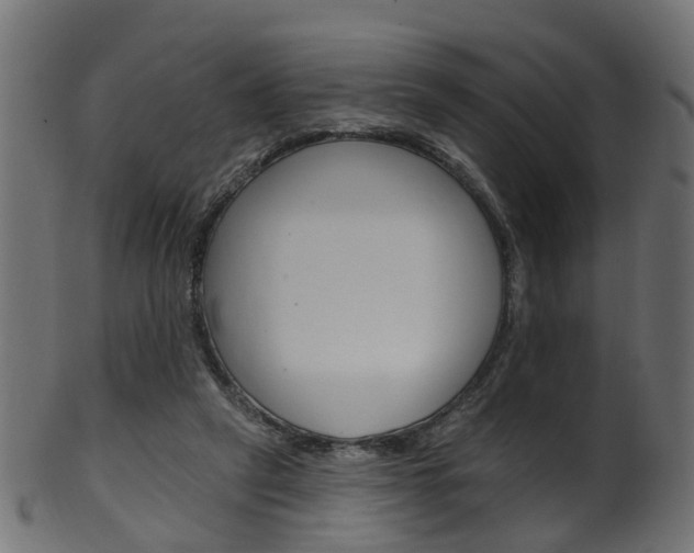 X0000102040257200807181036