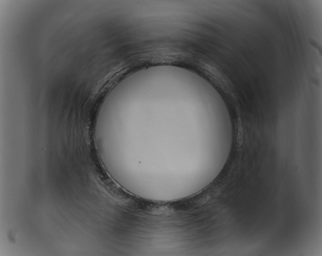 X0000102040258200807181036