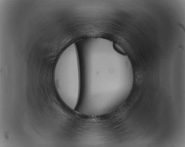 X0000102040259200807181036