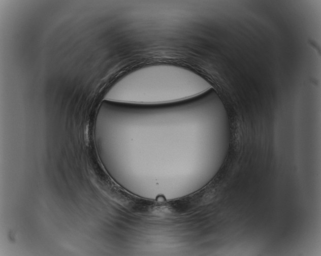 X0000102040262200807181037