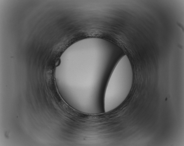 X0000102040263200807181037