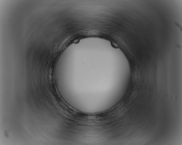 X0000102040264200807181037
